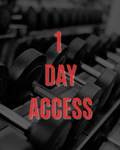 1 Day Access