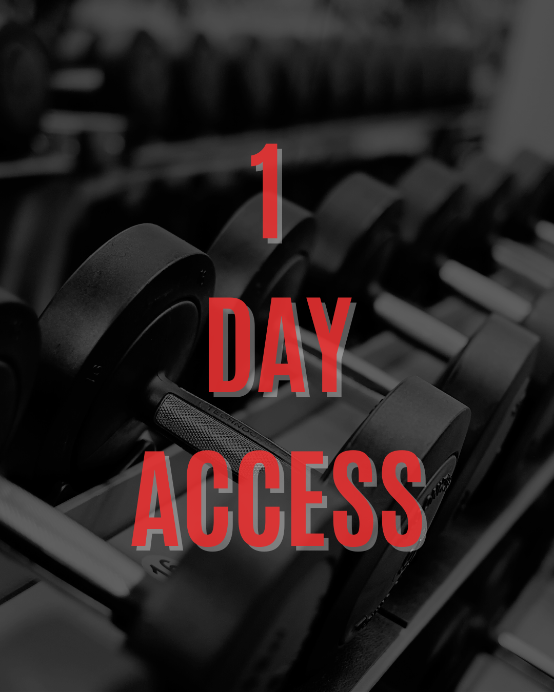 1 Day Access