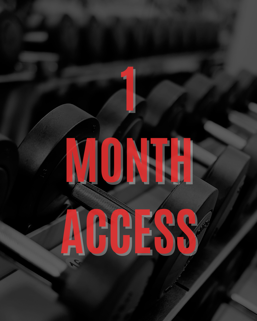 1 Month Access