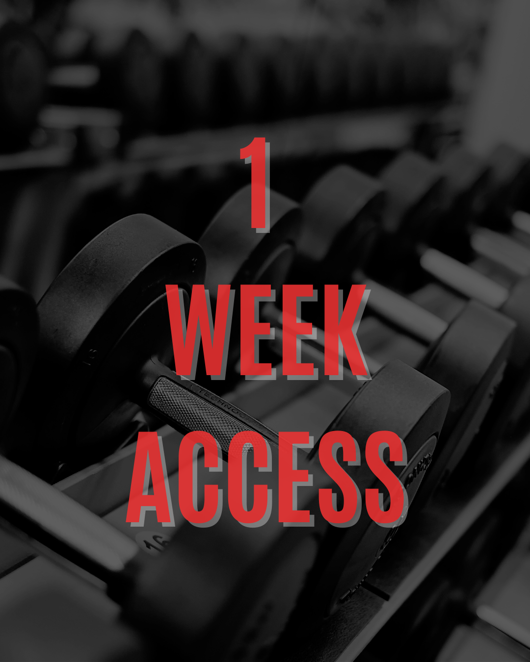 1 Week Access