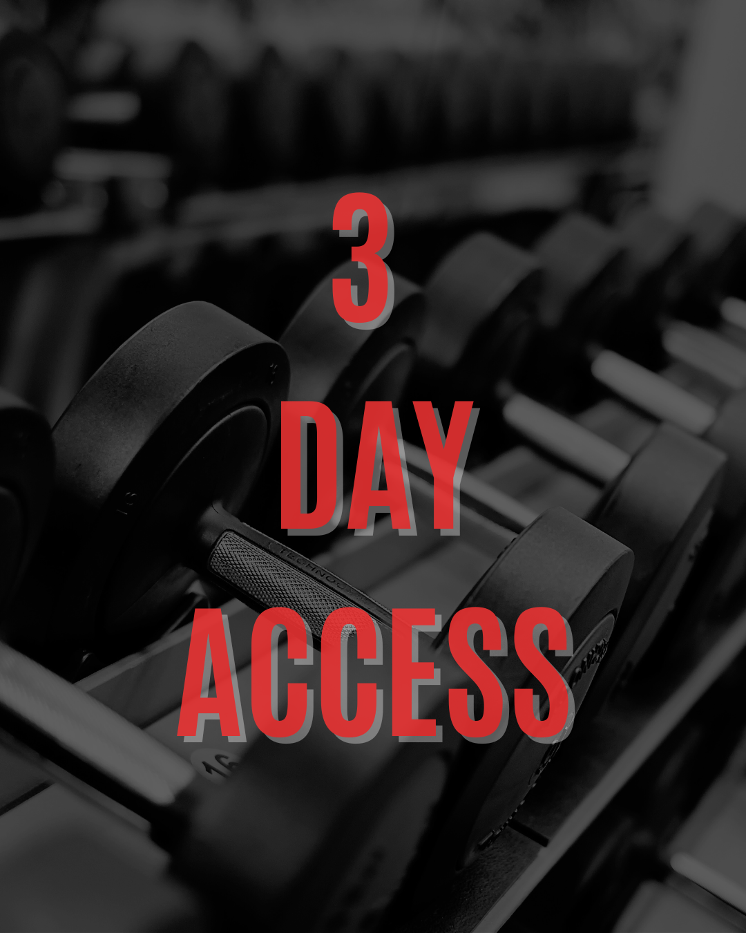 3 Day Access