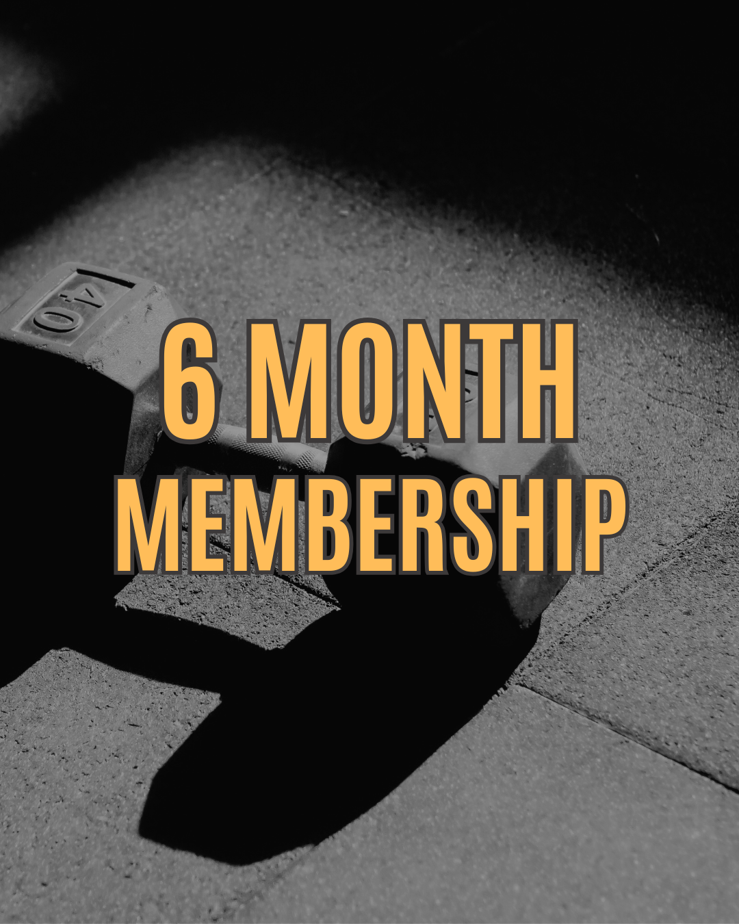 Six Month Membership
