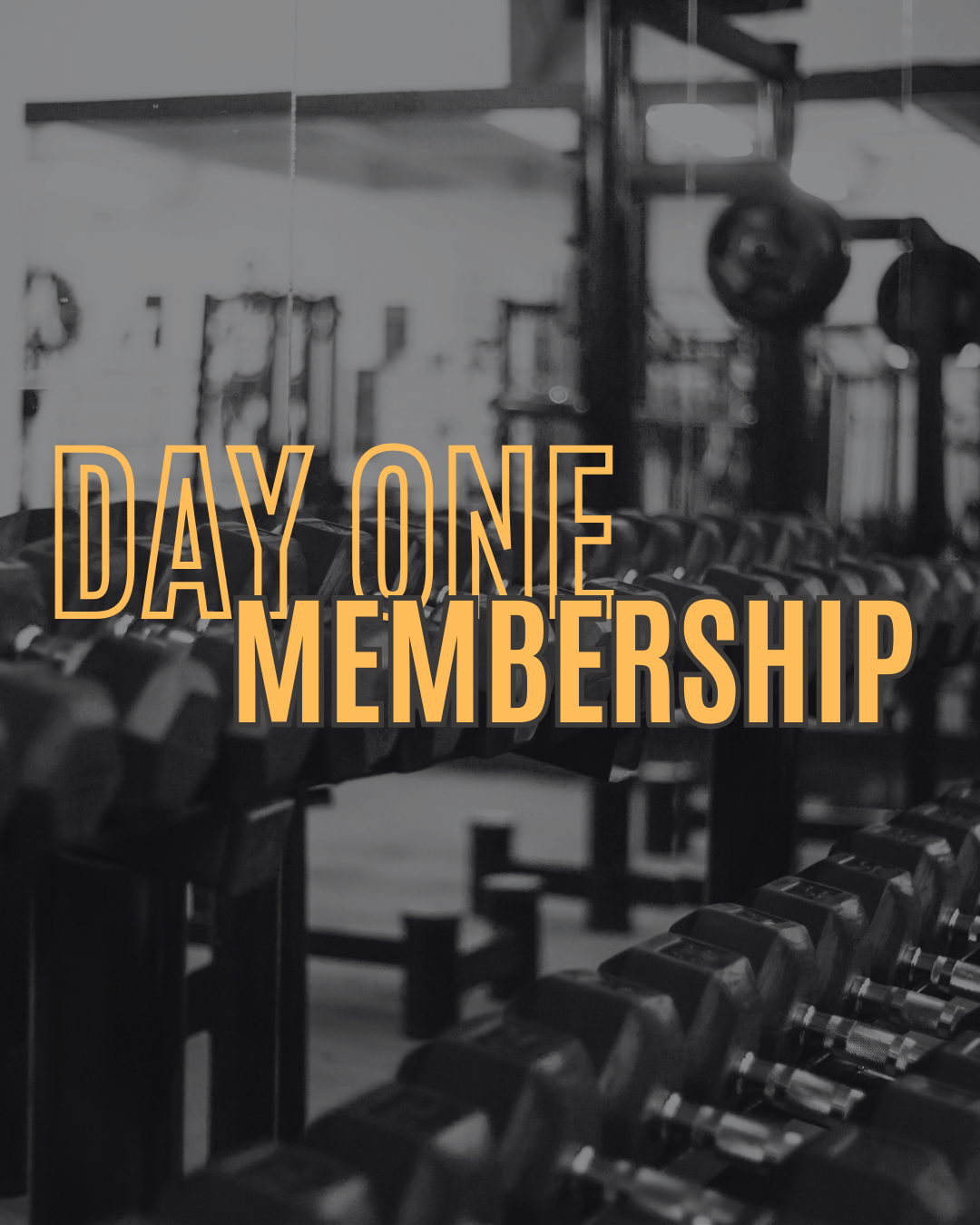 DAY ONE Annual Membership